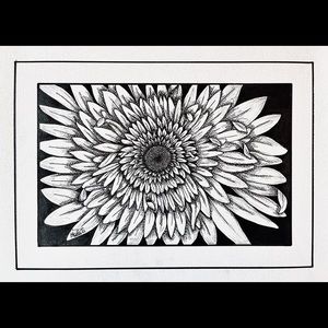 Flower Line drawings